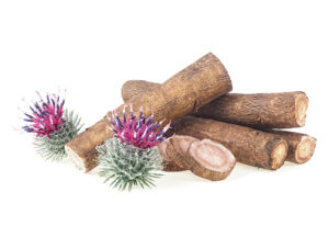 burdock root